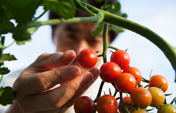 Agricultural Community