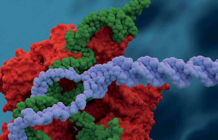 Single Cell Research Publication Review