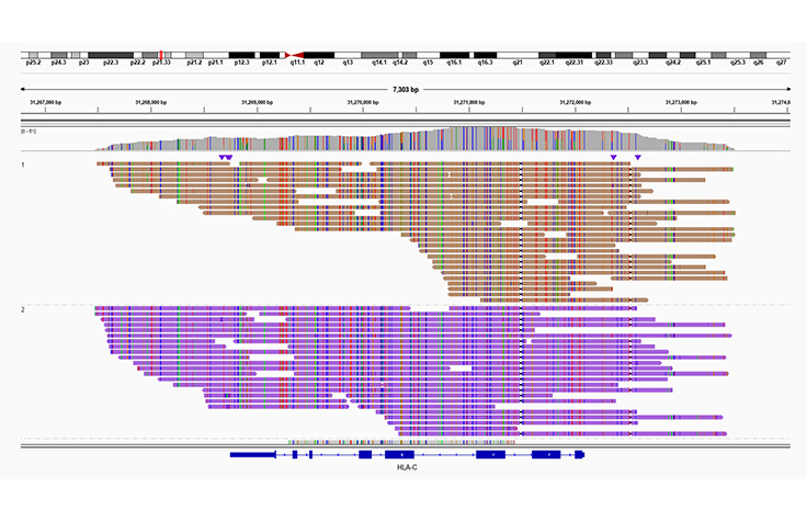 screenshot of human phasing