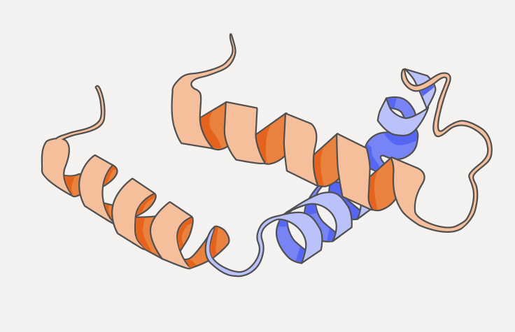 what is proteomics illustration